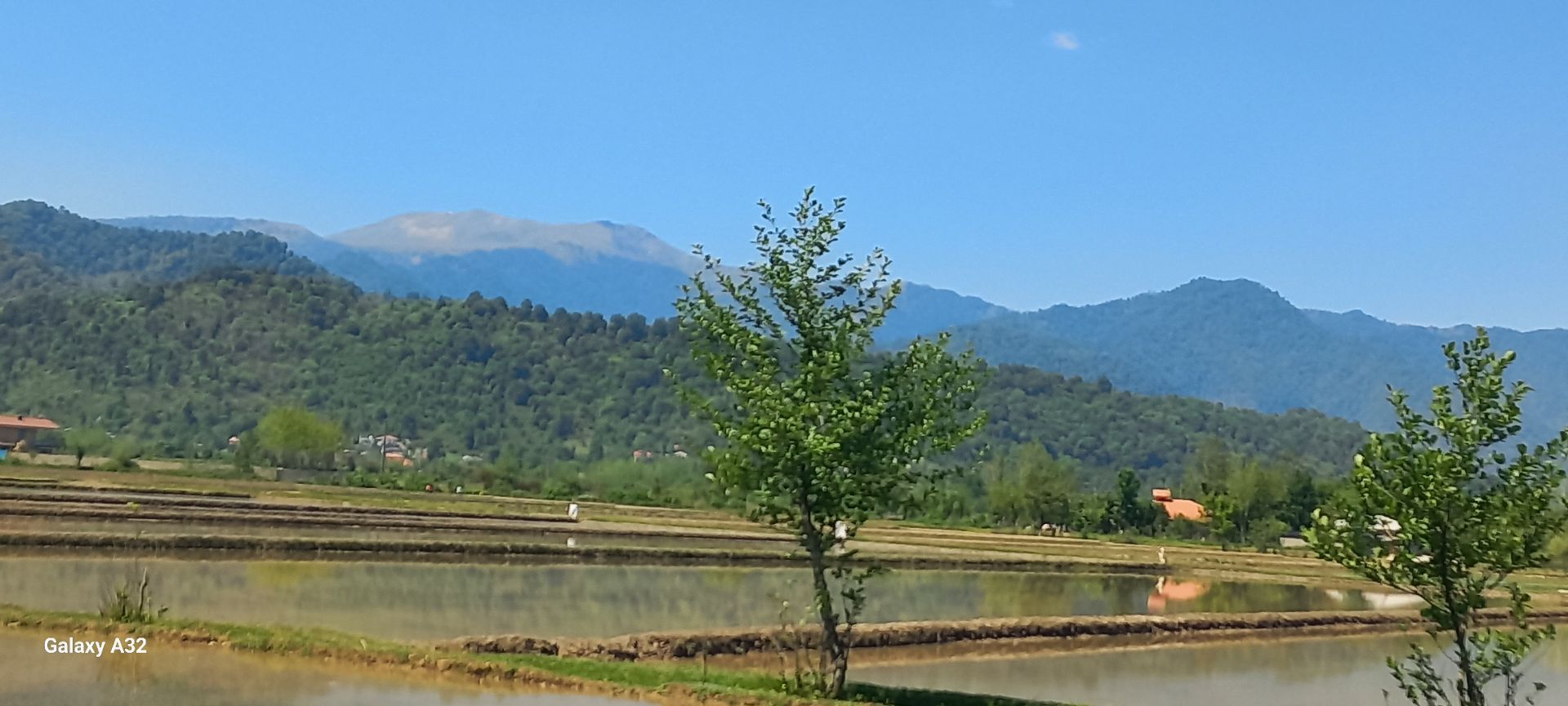 تصویر املاک 36908