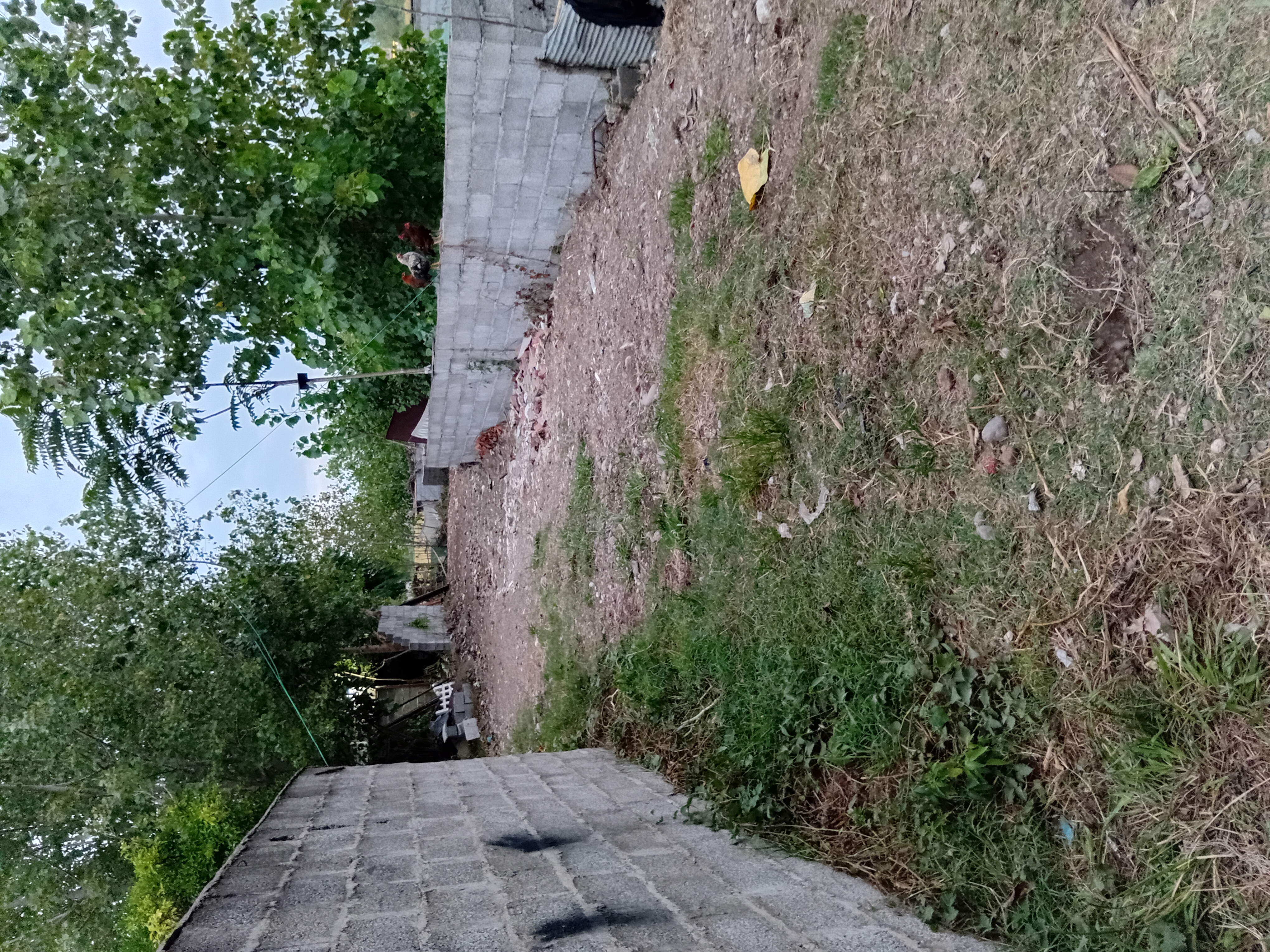 تصویر املاک 119287