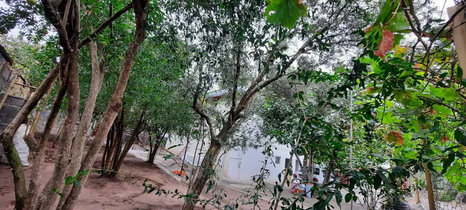 تصویر املاک 8745