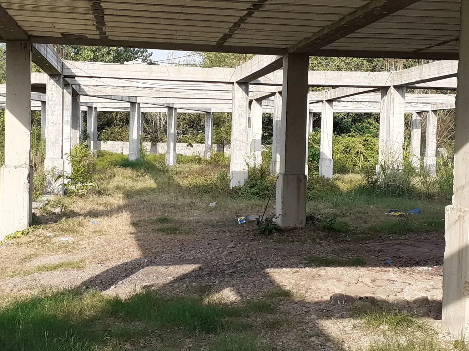 تصویر املاک 79903