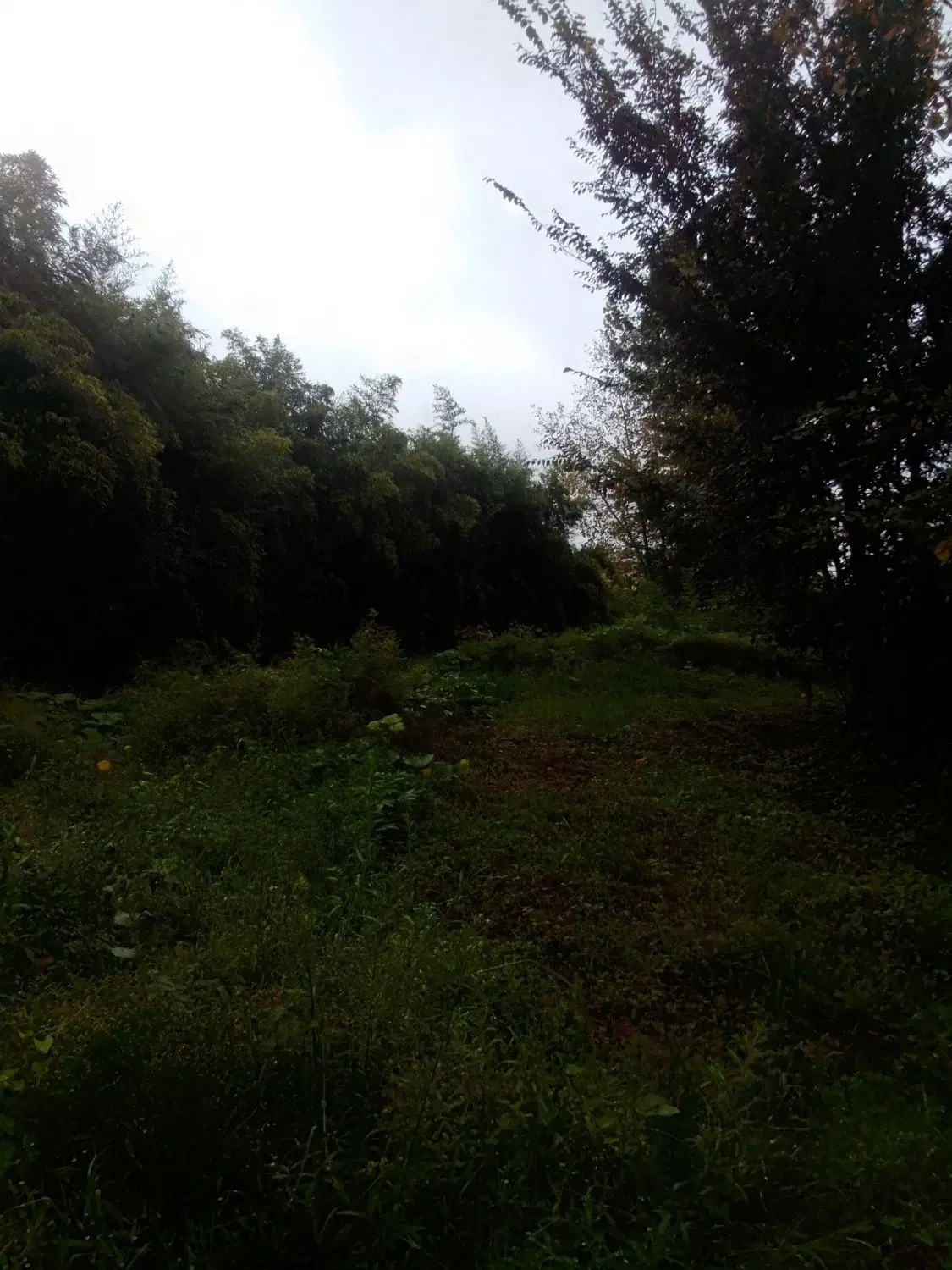 تصویر املاک 136469
