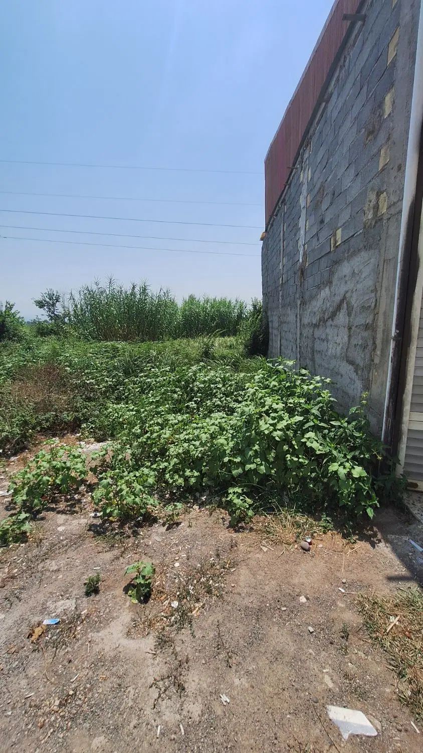 تصویر املاک 88782