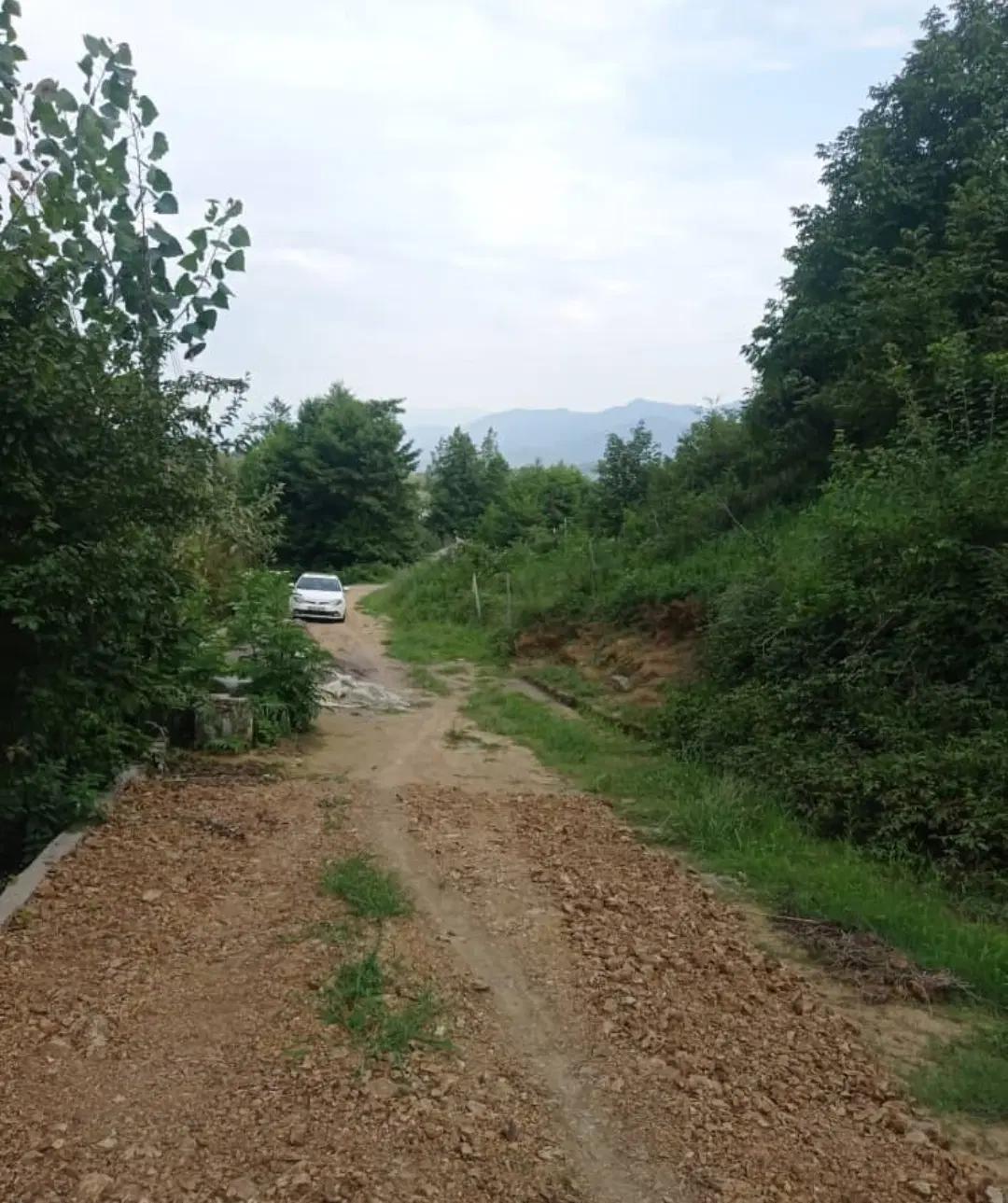 تصویر املاک 55775