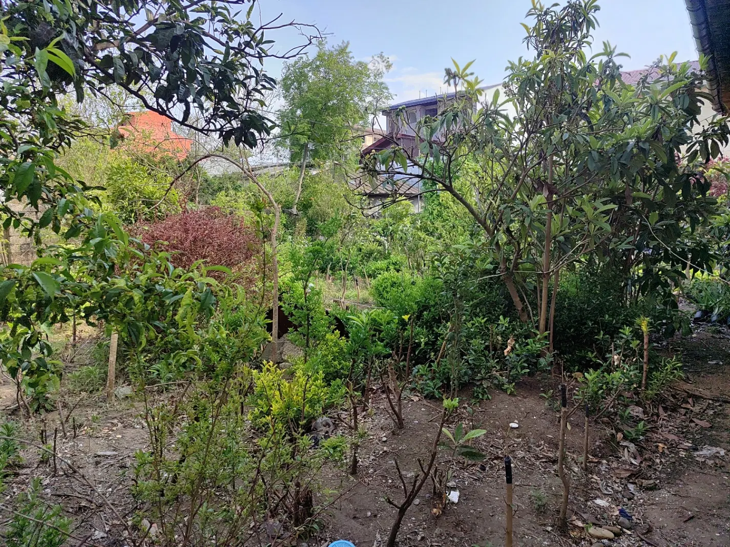تصویر املاک 108858