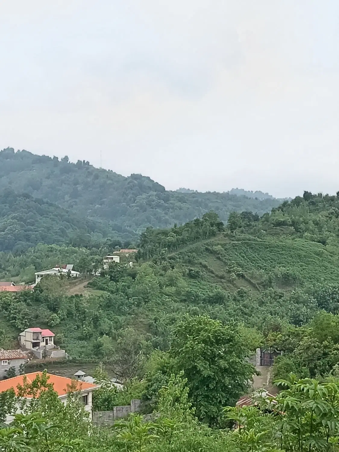 تصویر املاک 44405