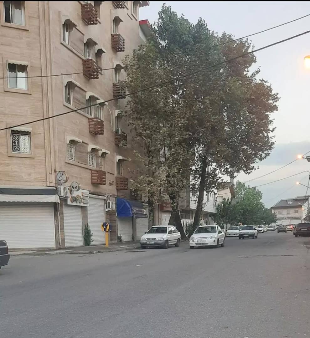 تصویر املاک 1904