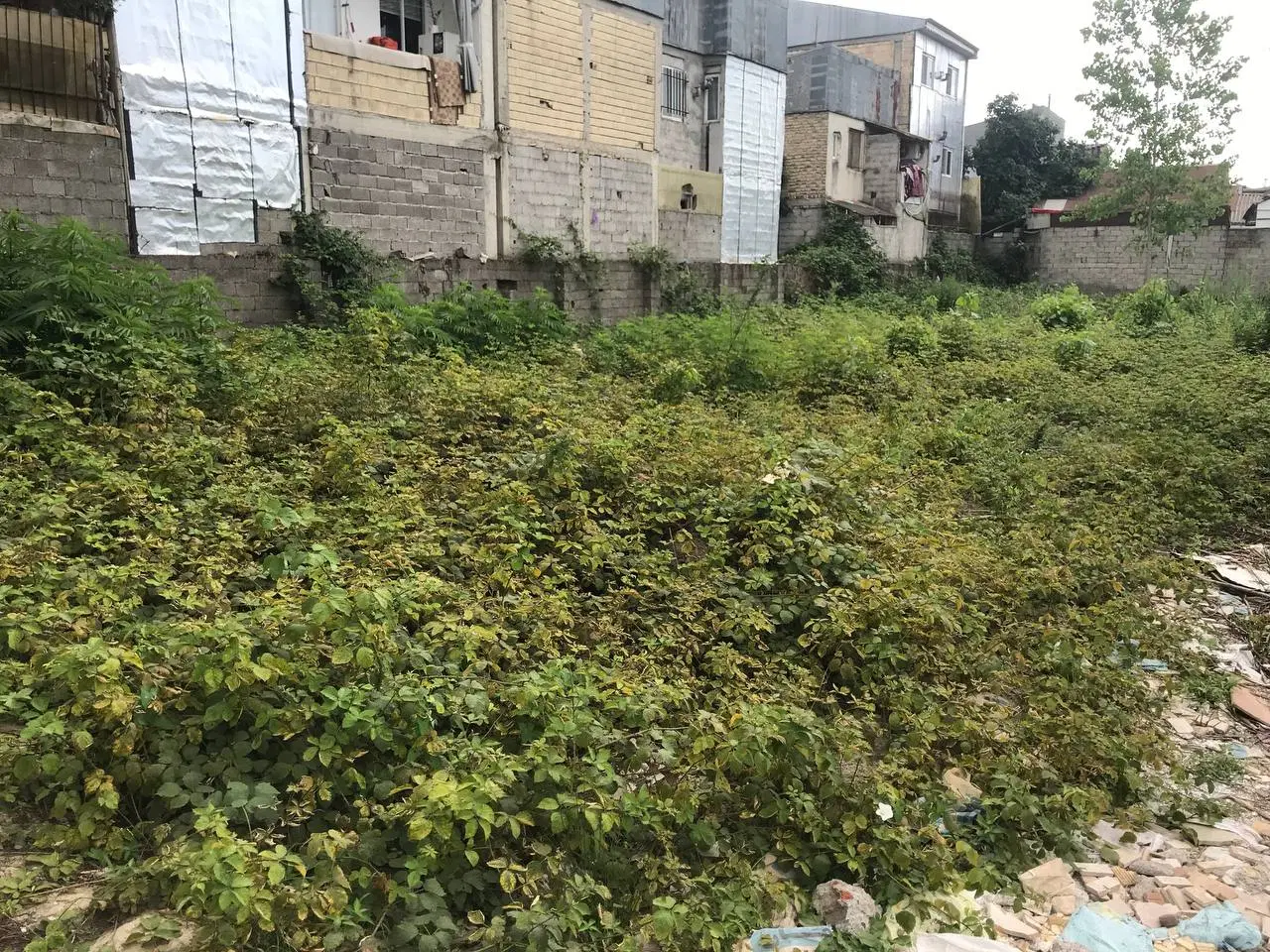 تصویر املاک 87349