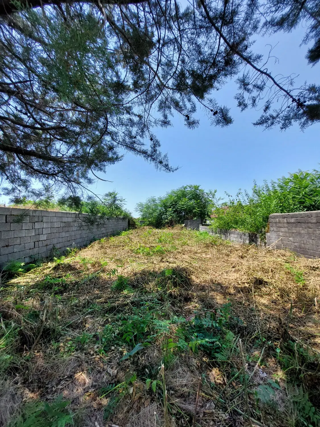 تصویر املاک 45083