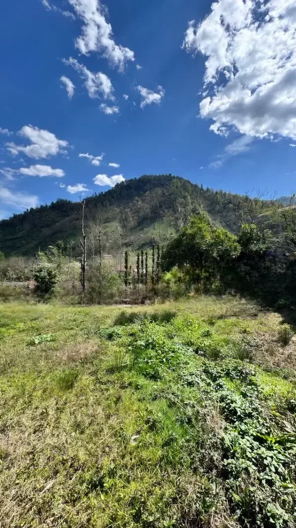 تصویر املاک 35970