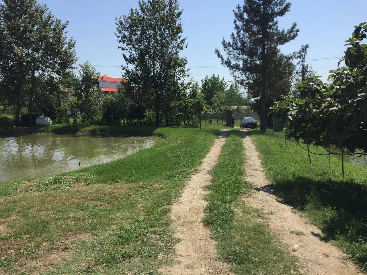تصویر املاک 81845