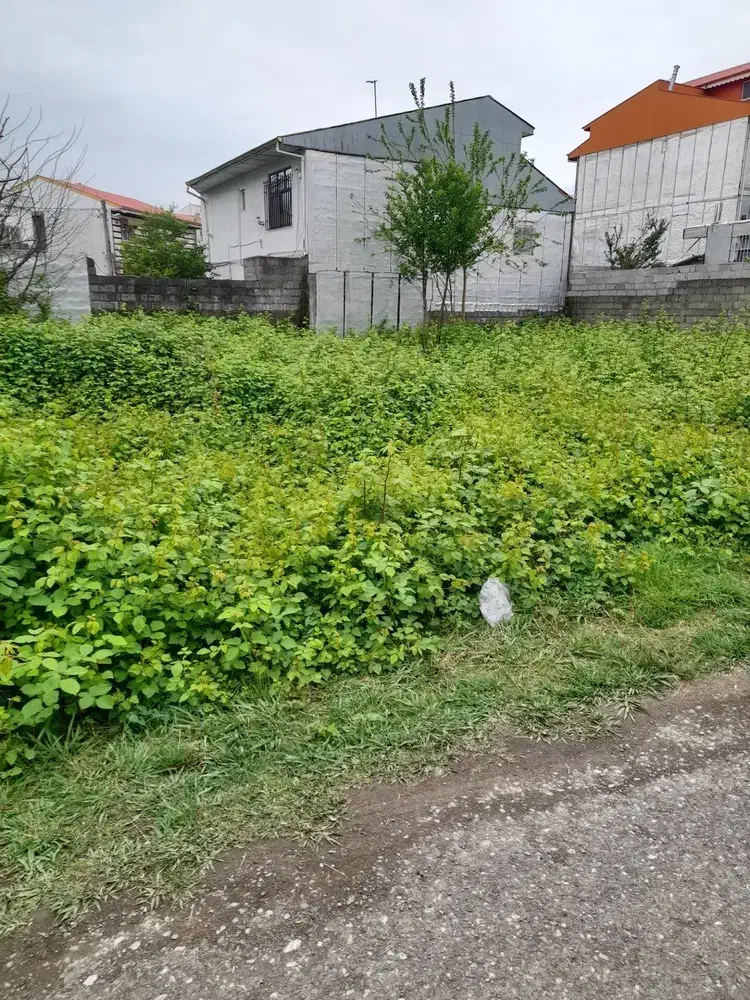تصویر املاک 39366