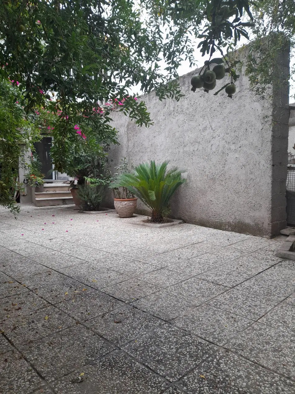 تصویر املاک 133599