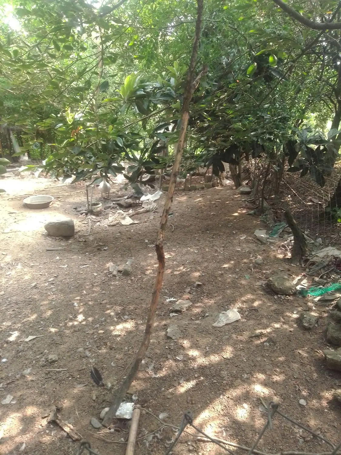 تصویر املاک 102976