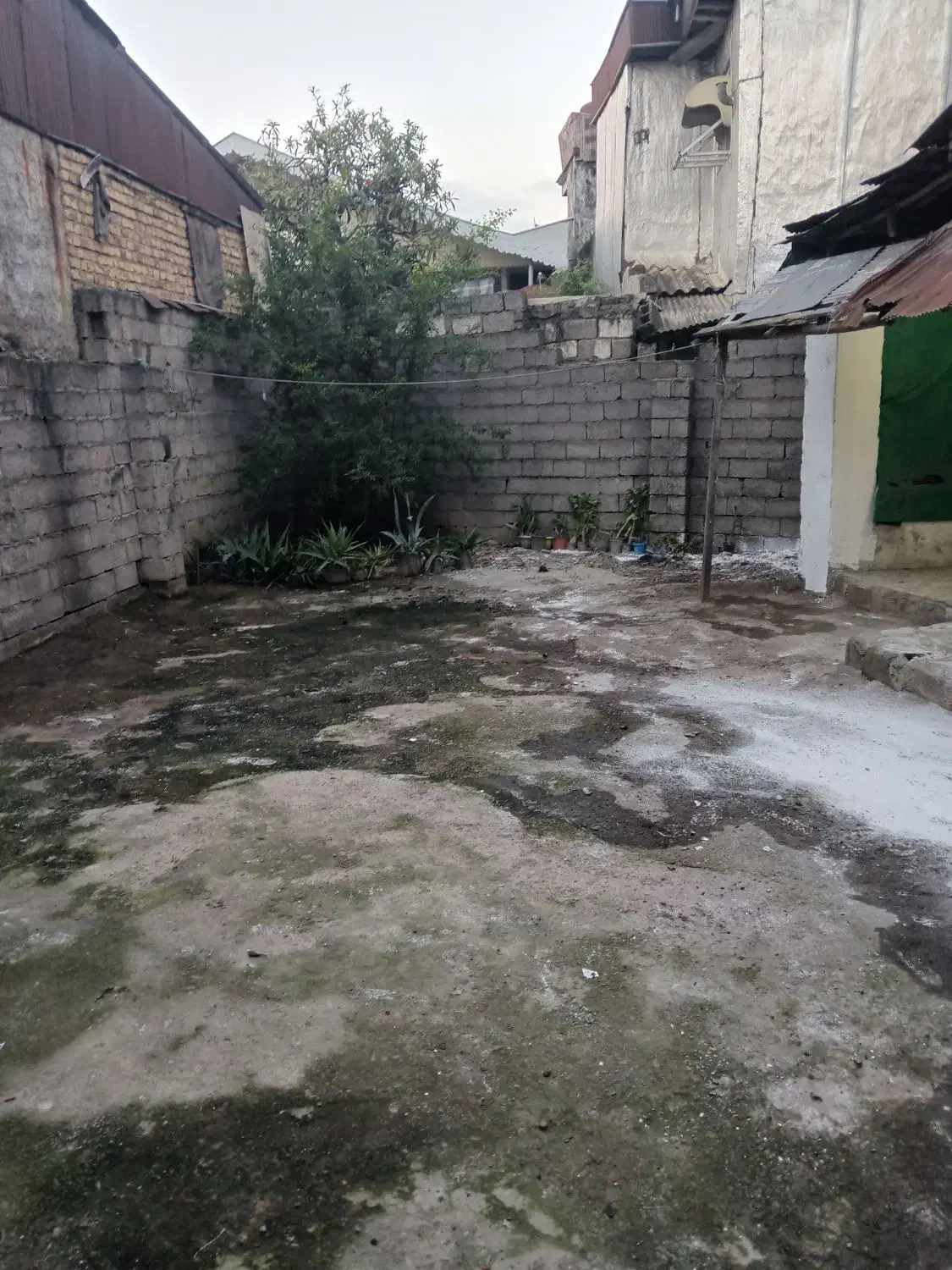 تصویر املاک 5439