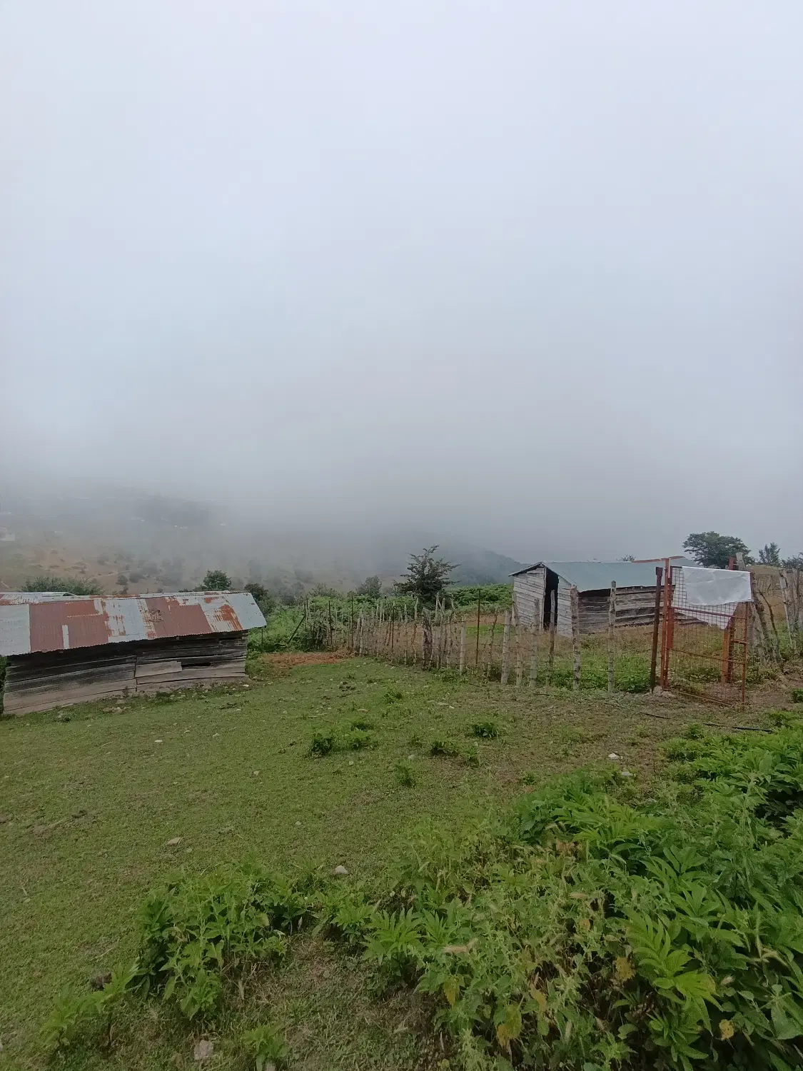 تصویر املاک 103515
