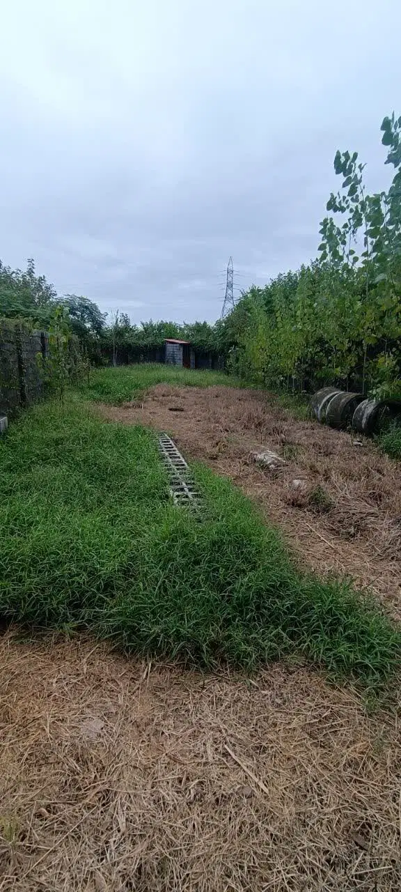 تصویر املاک 124459