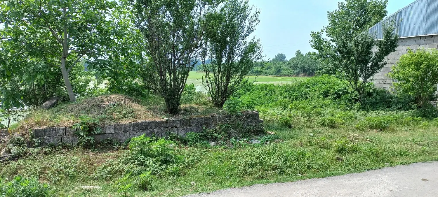 تصویر املاک 56374