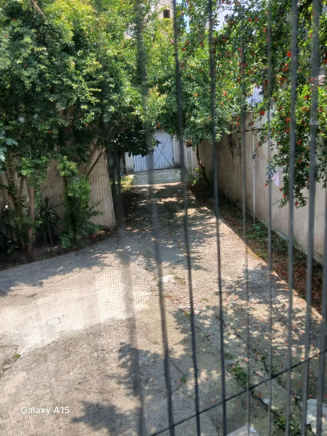تصویر املاک 57363