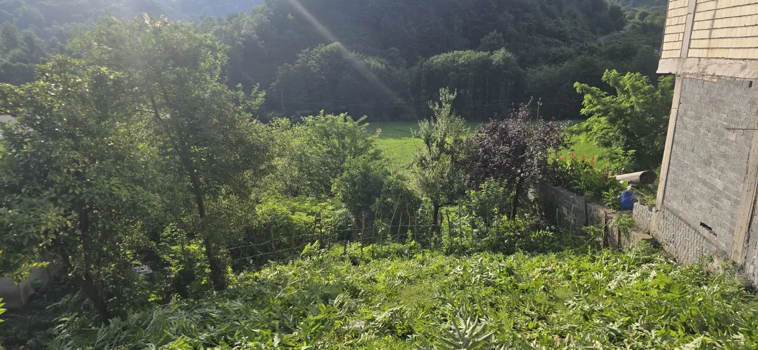 تصویر املاک 55824