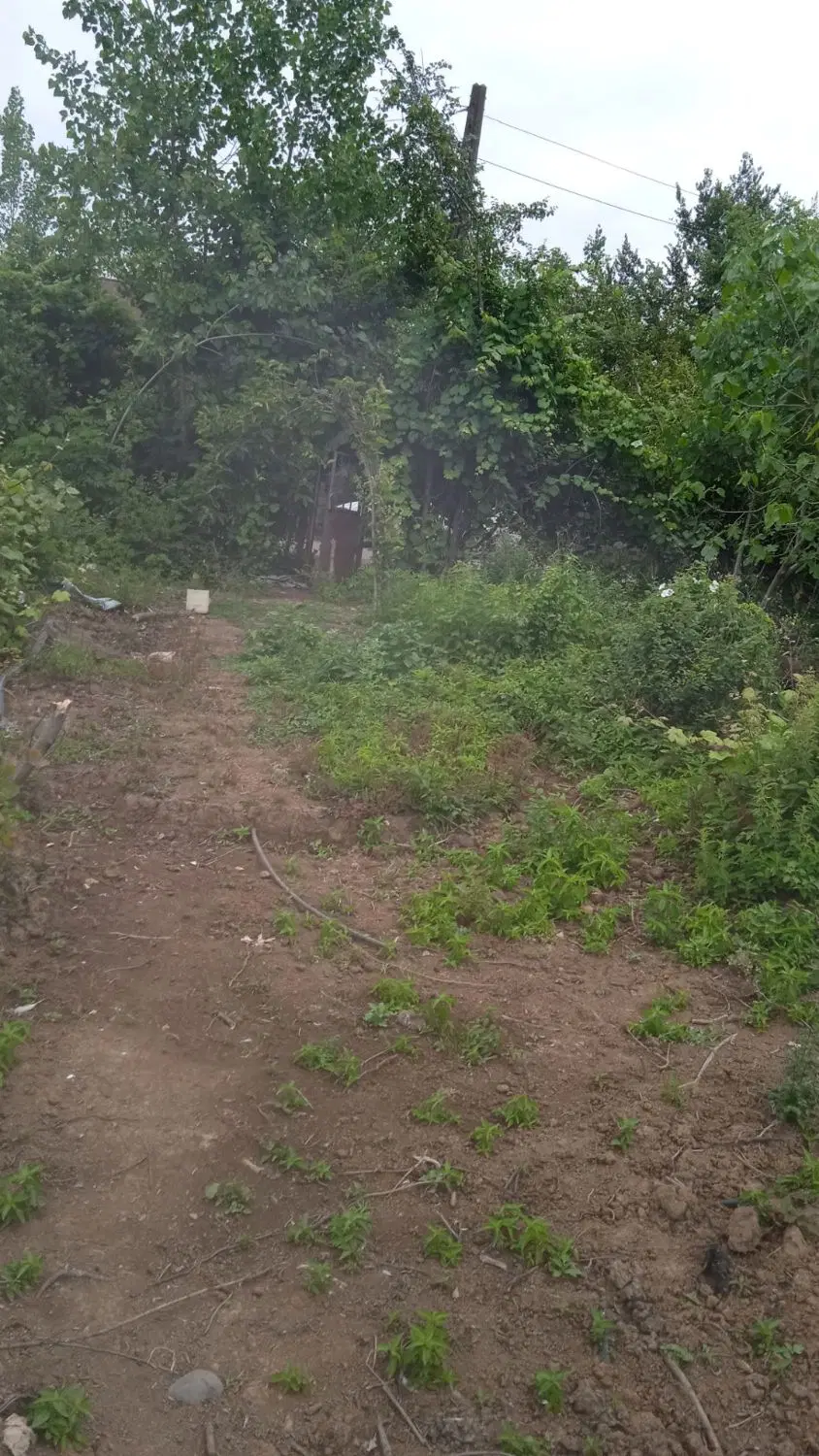 تصویر املاک 76118