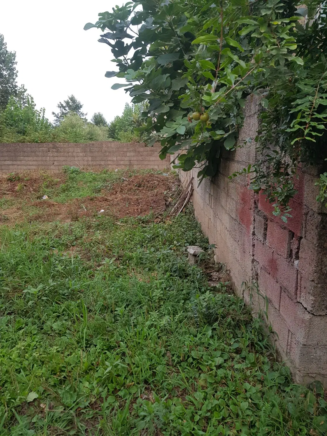 تصویر املاک 84163