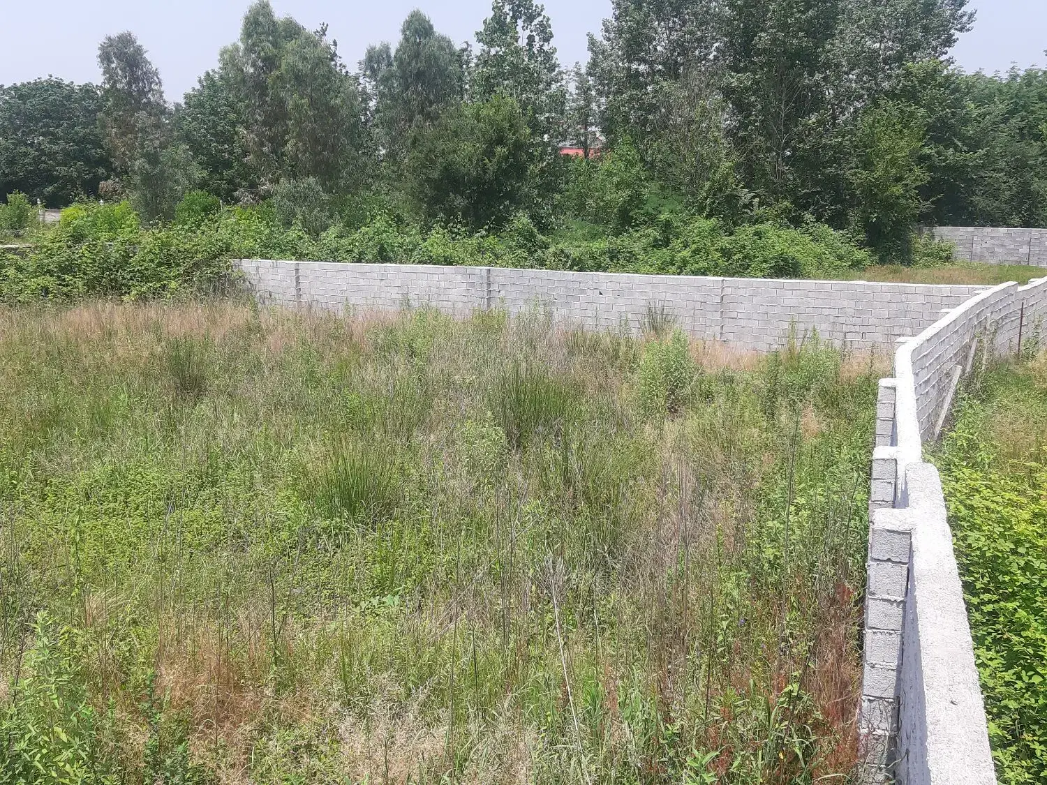 تصویر املاک 45113