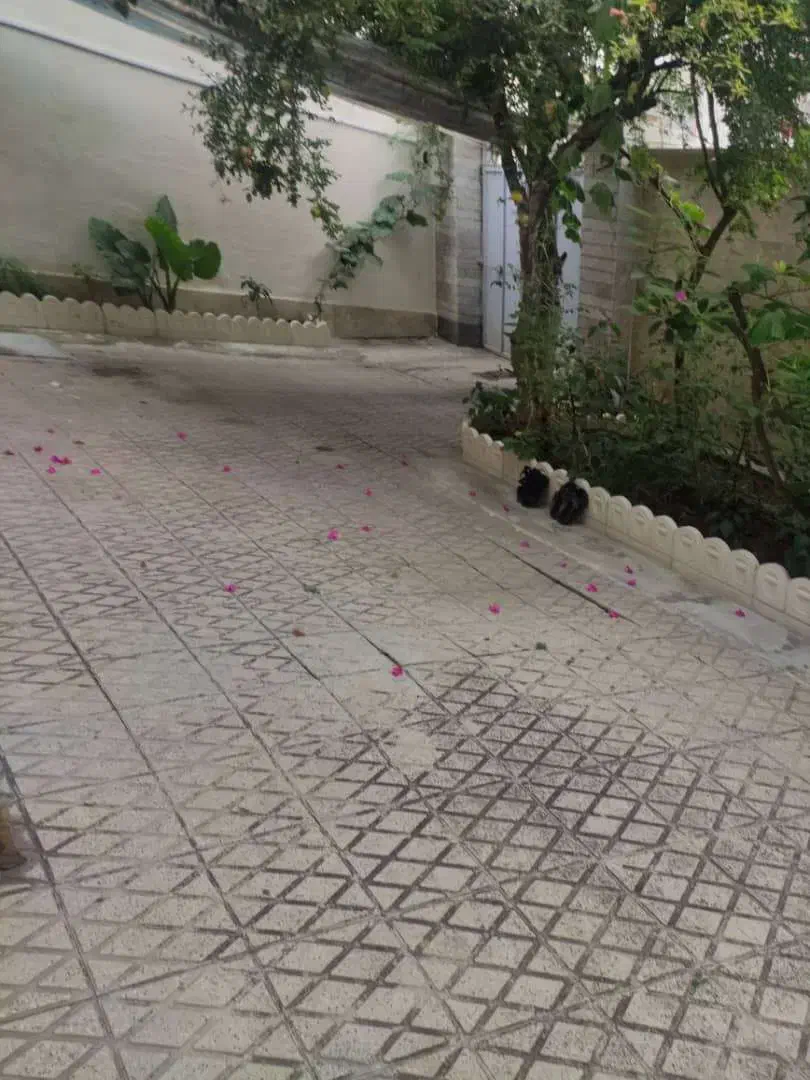 تصویر املاک 20150