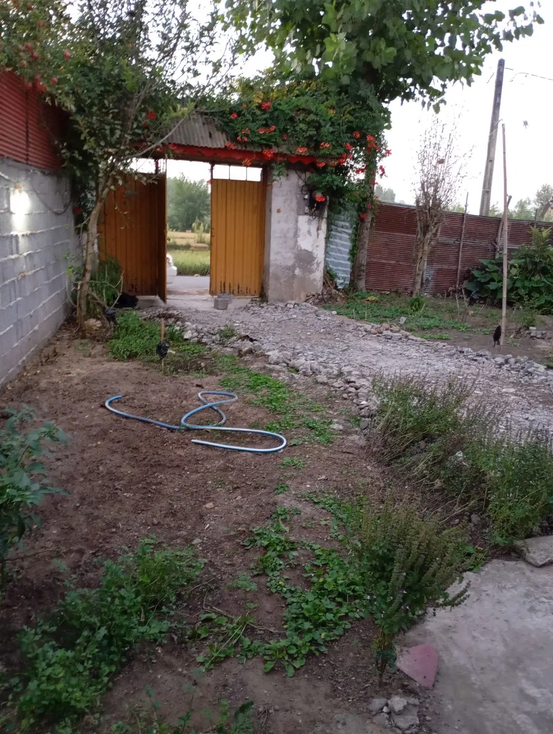تصویر املاک 107329