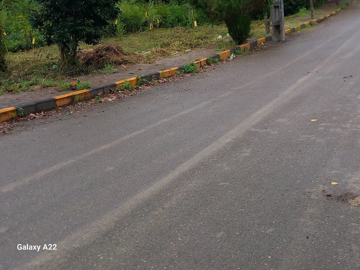 تصویر املاک 55955