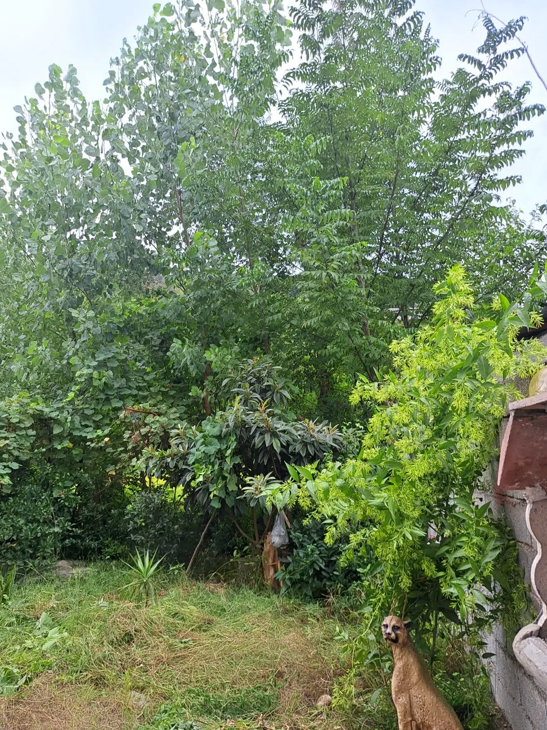 تصویر املاک 106594