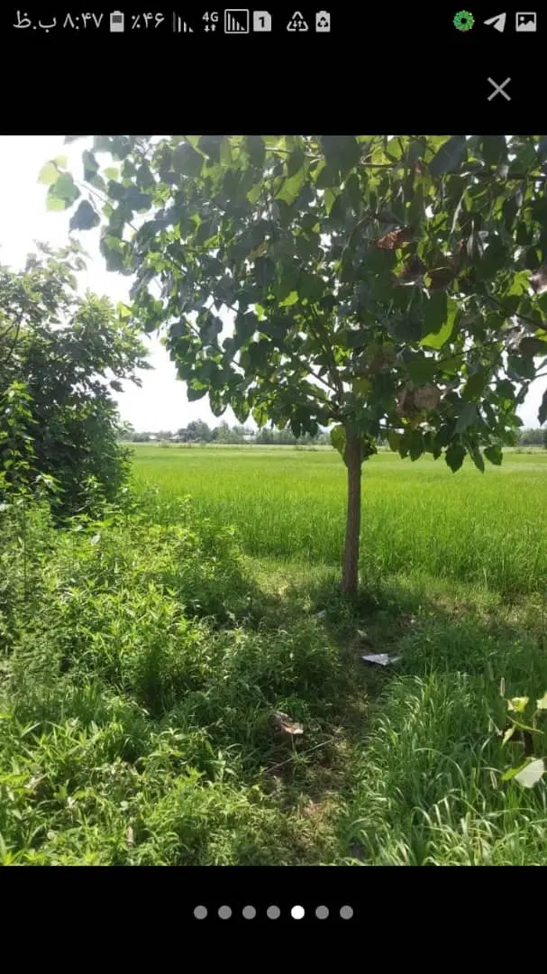 تصویر املاک 67434