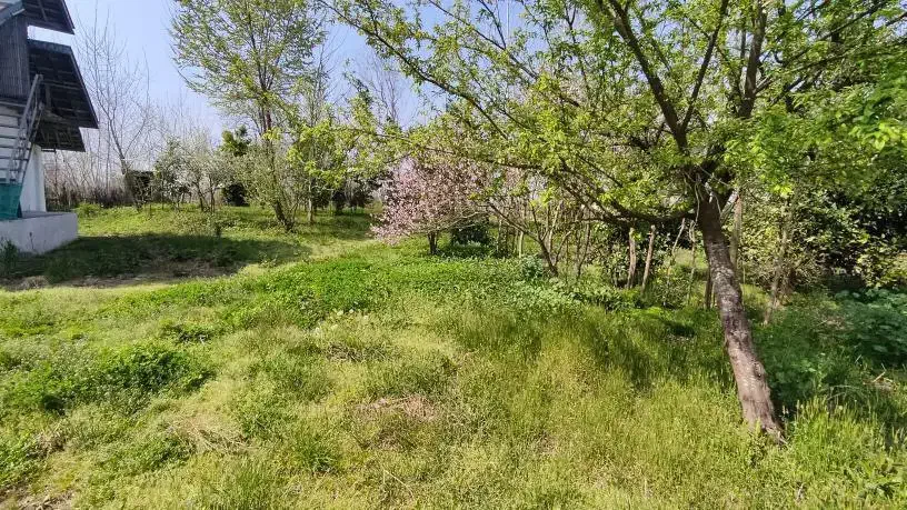 تصویر املاک 39212
