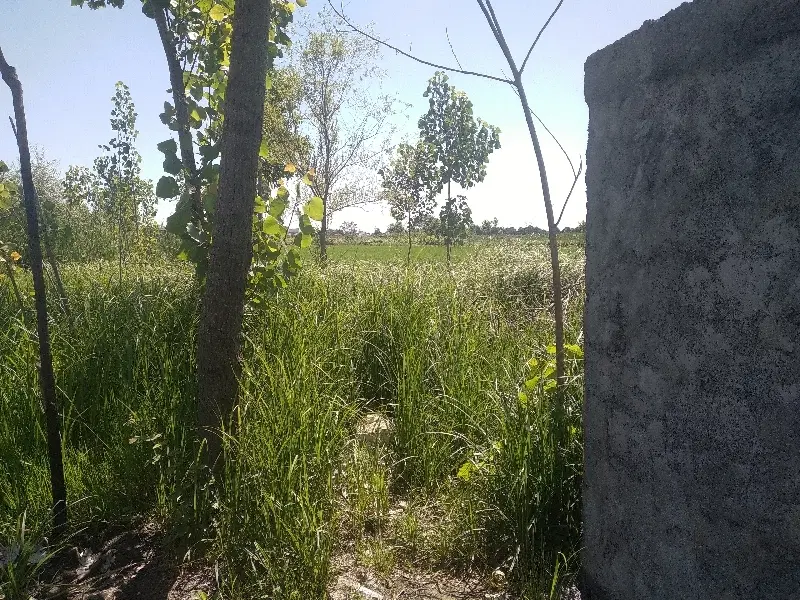 تصویر املاک 88812