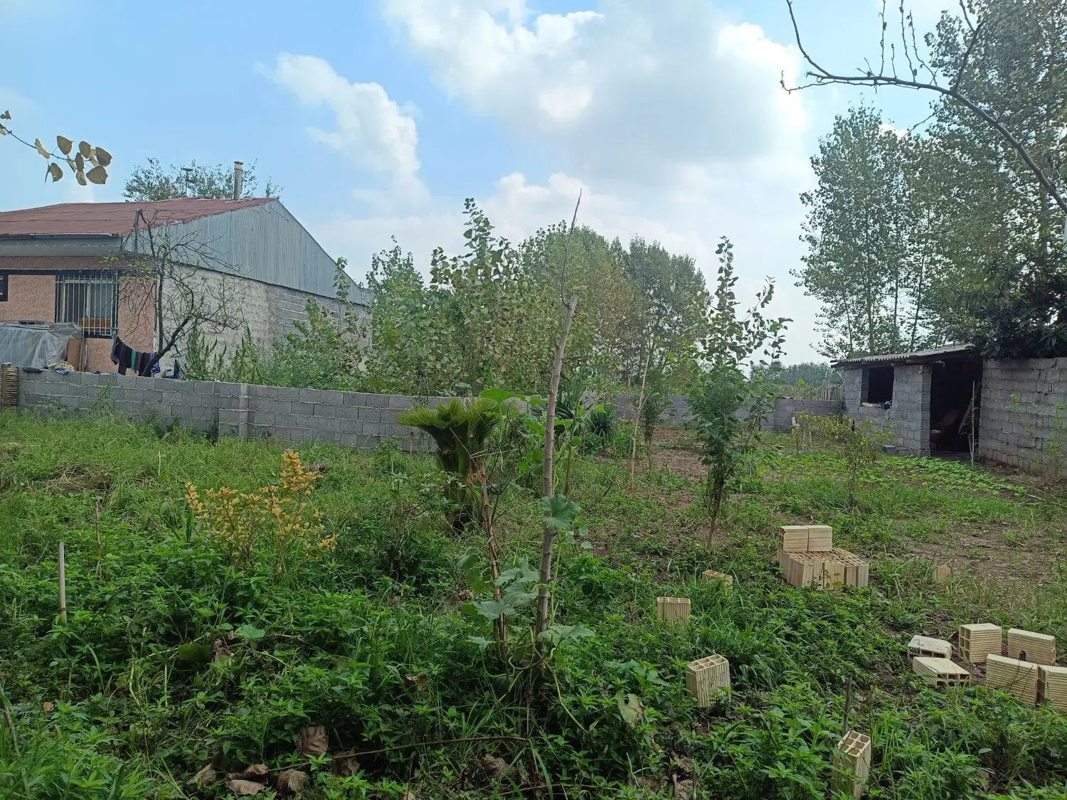 تصویر املاک 125344