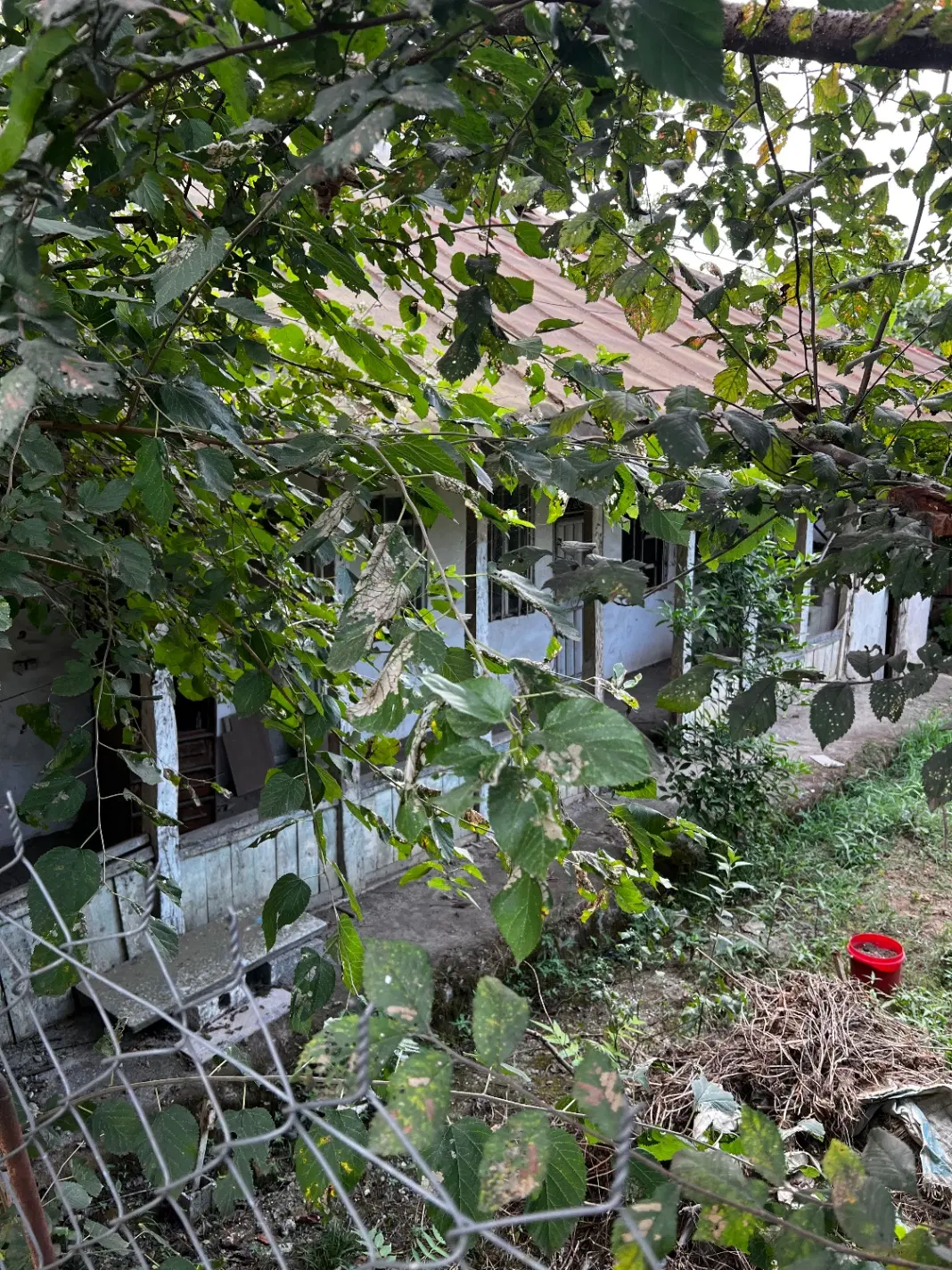 تصویر املاک 109622