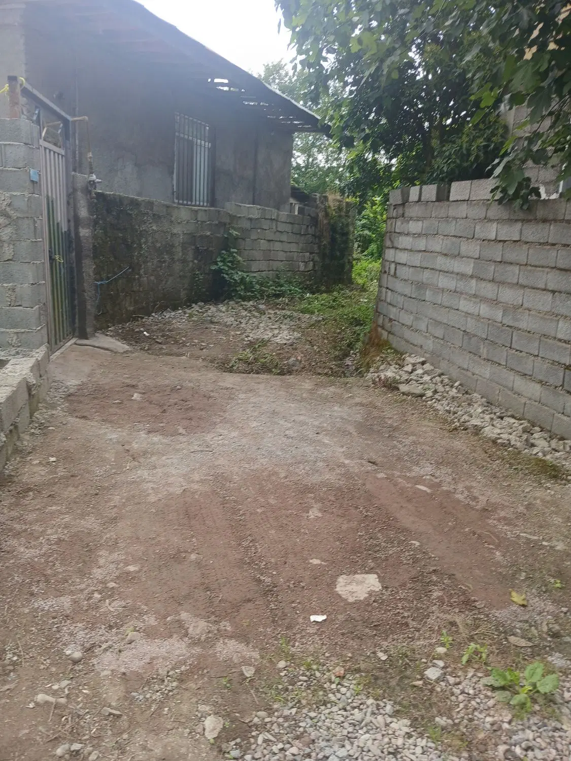 تصویر املاک 64216