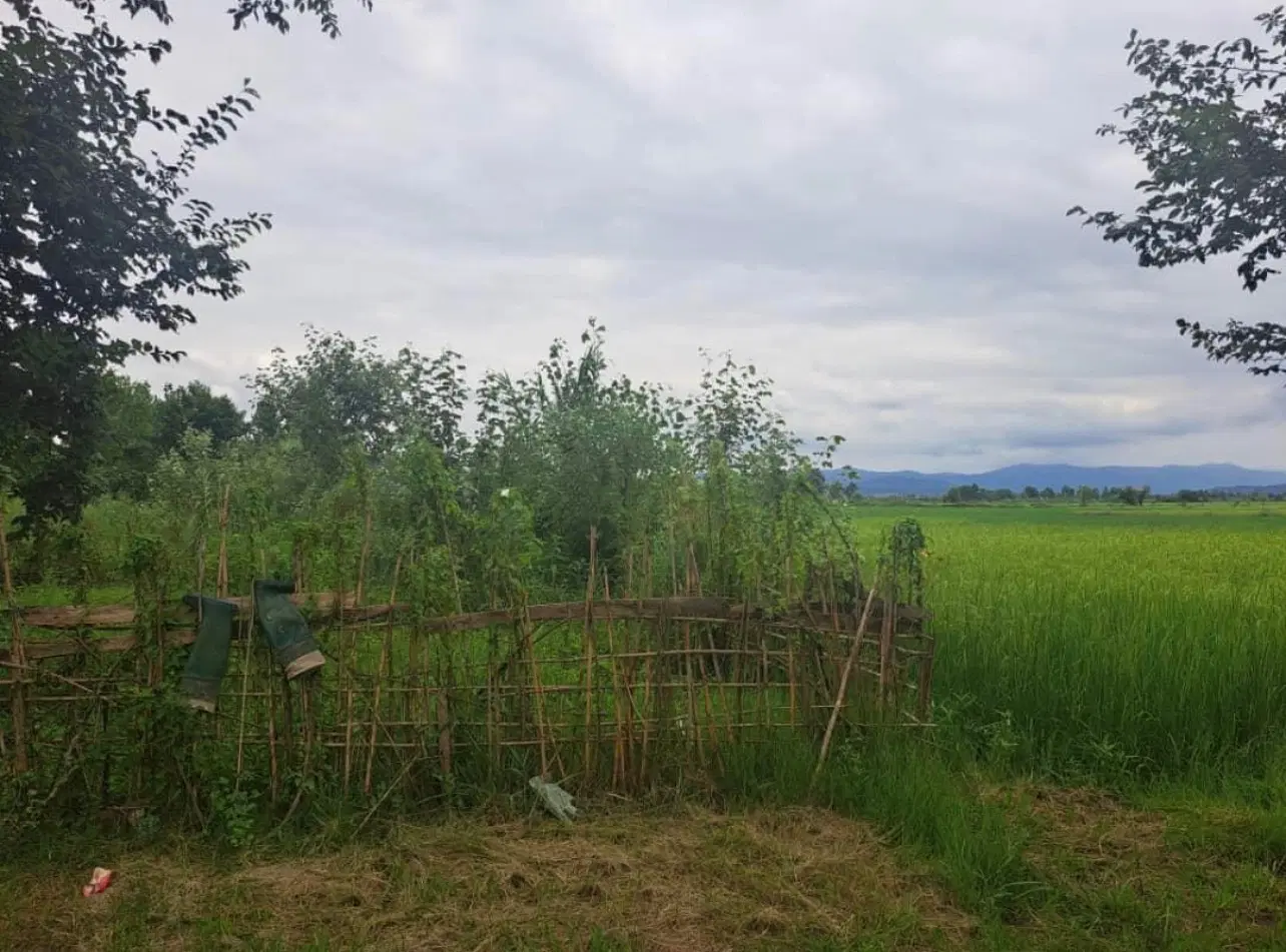 تصویر املاک 138550