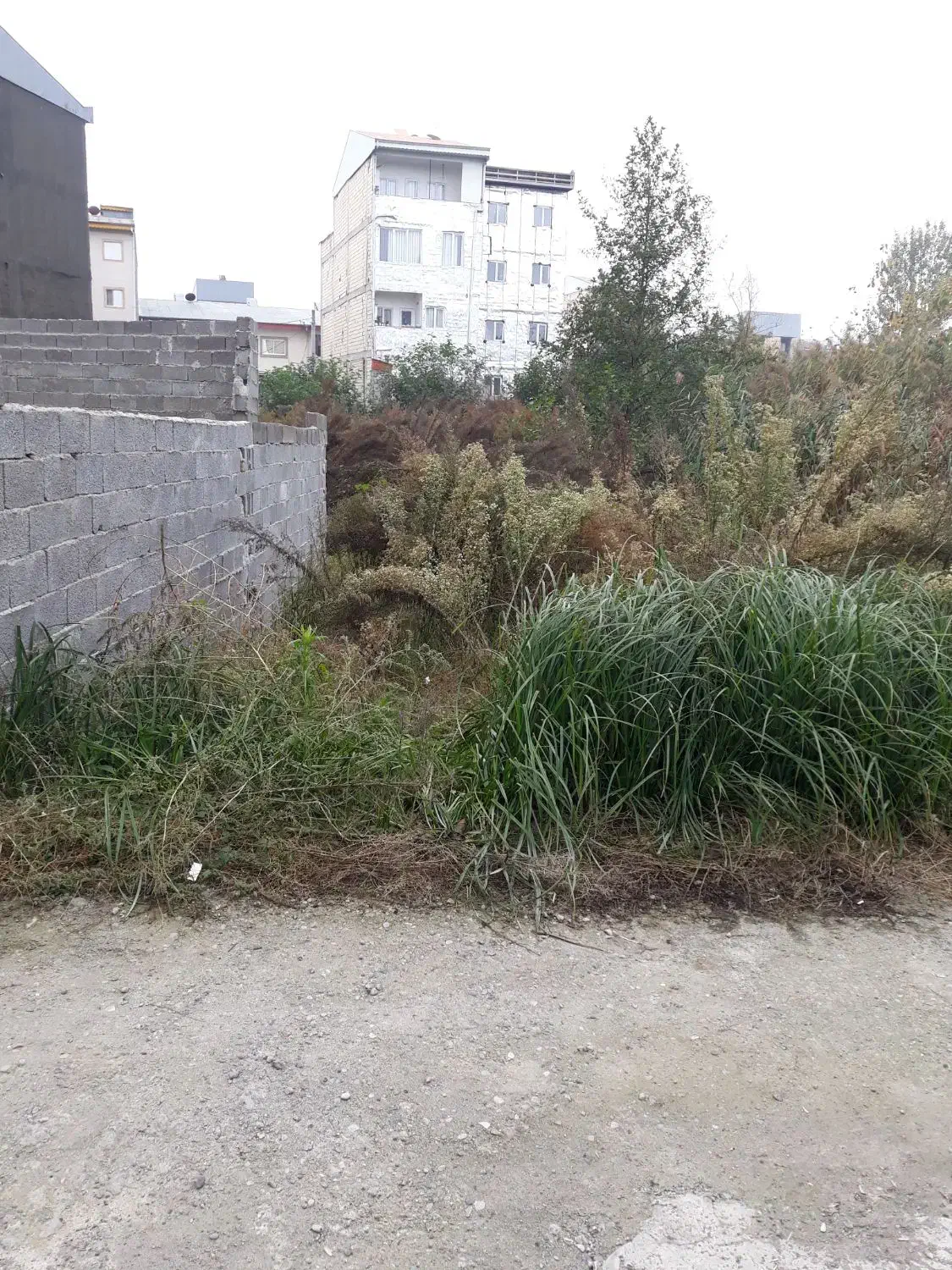 تصویر املاک 13058