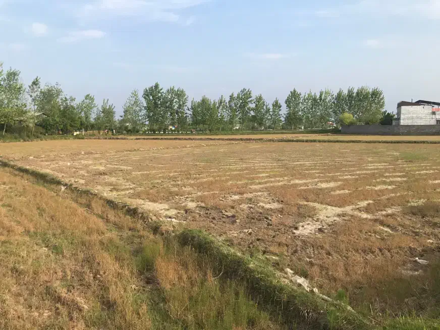 تصویر املاک 7811