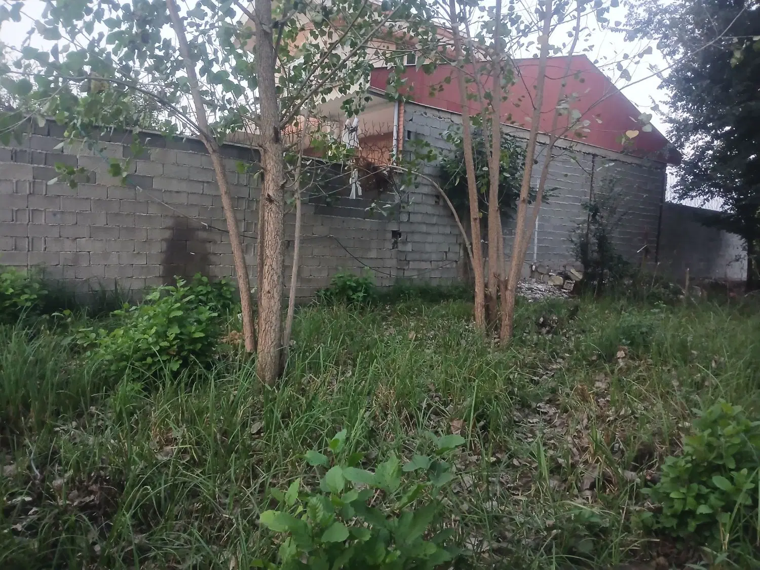 تصویر املاک 142240