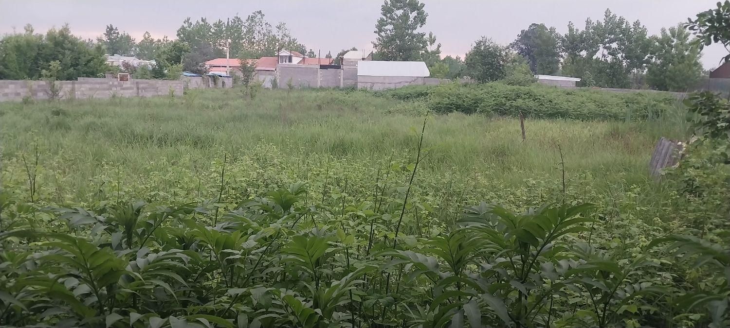 تصویر املاک 46156