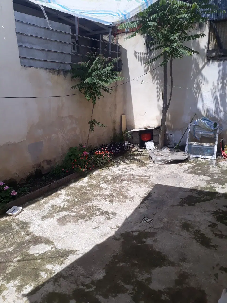 تصویر املاک 88446