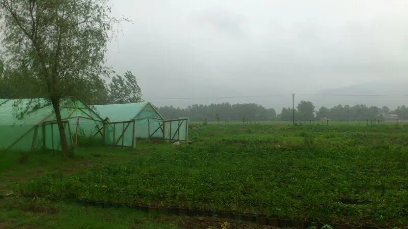 تصویر املاک 91626