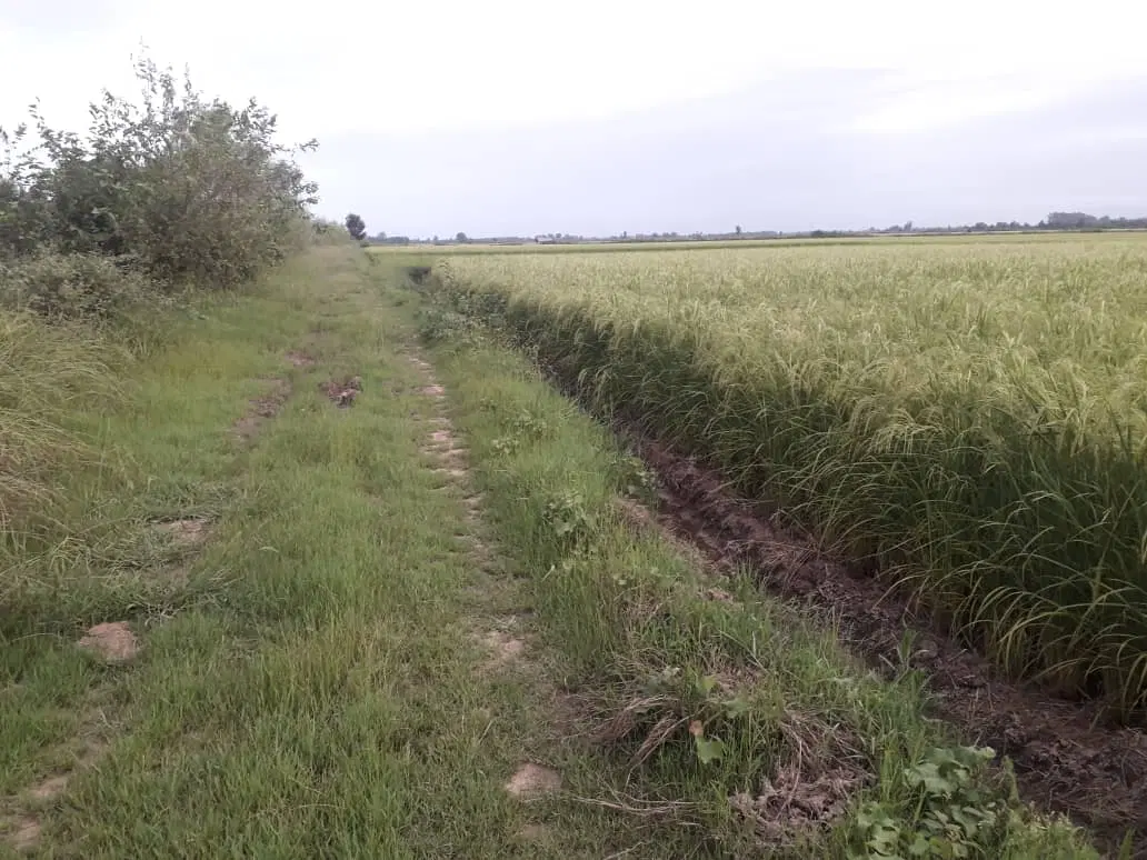 تصویر املاک 88571