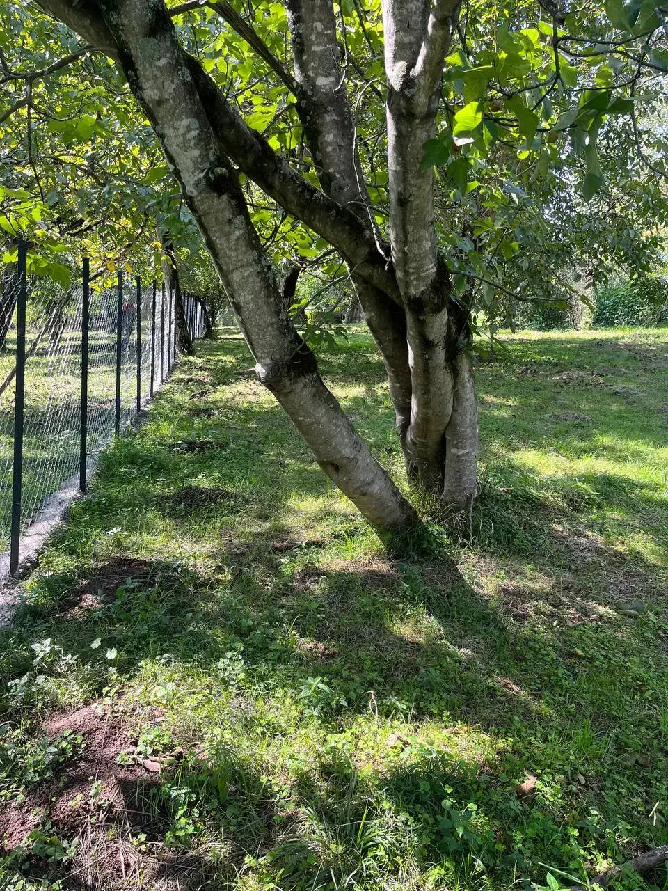 تصویر املاک 4877