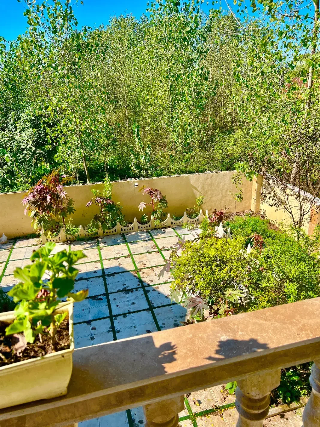 تصویر املاک 6199