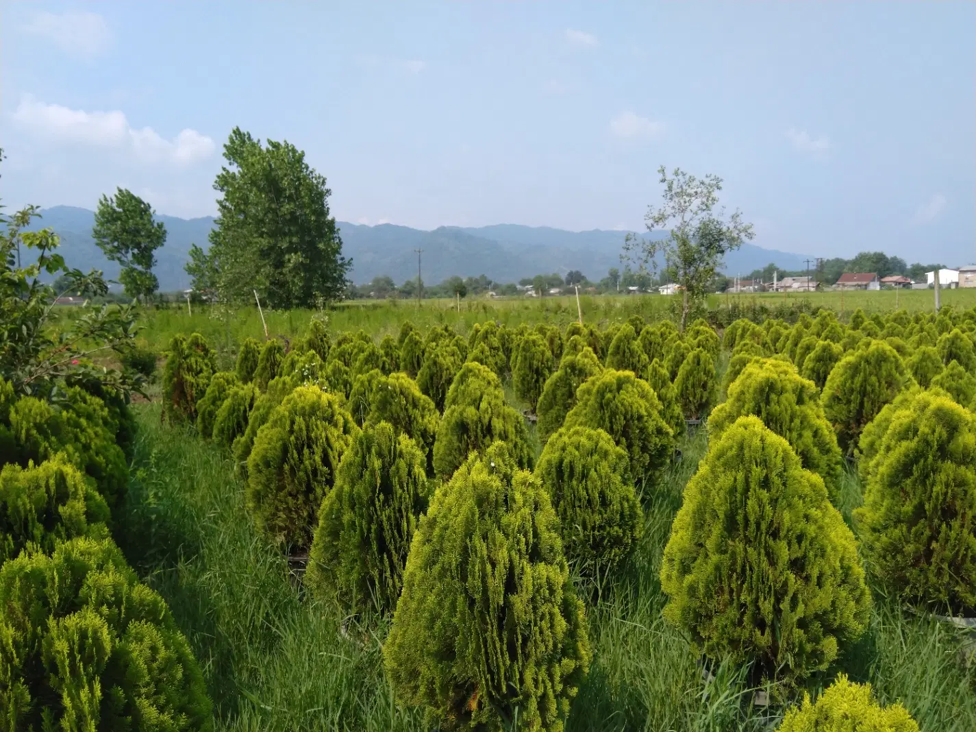 تصویر املاک 91627