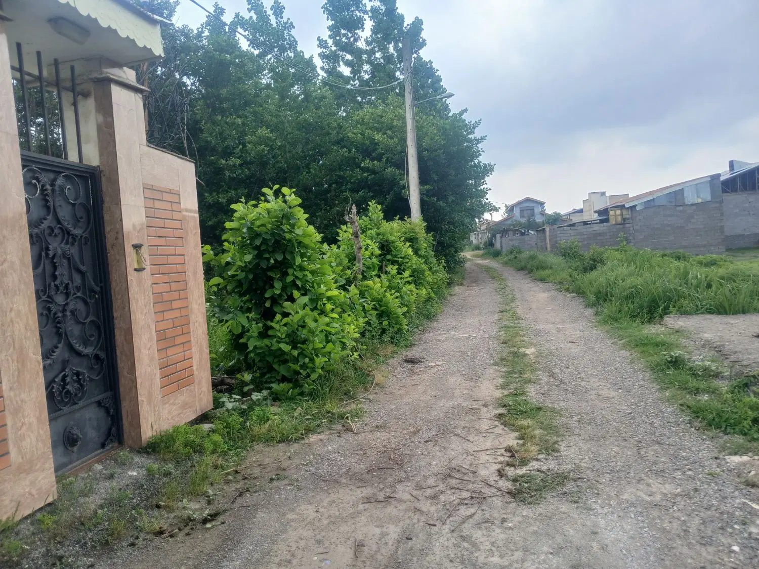 تصویر املاک 142241