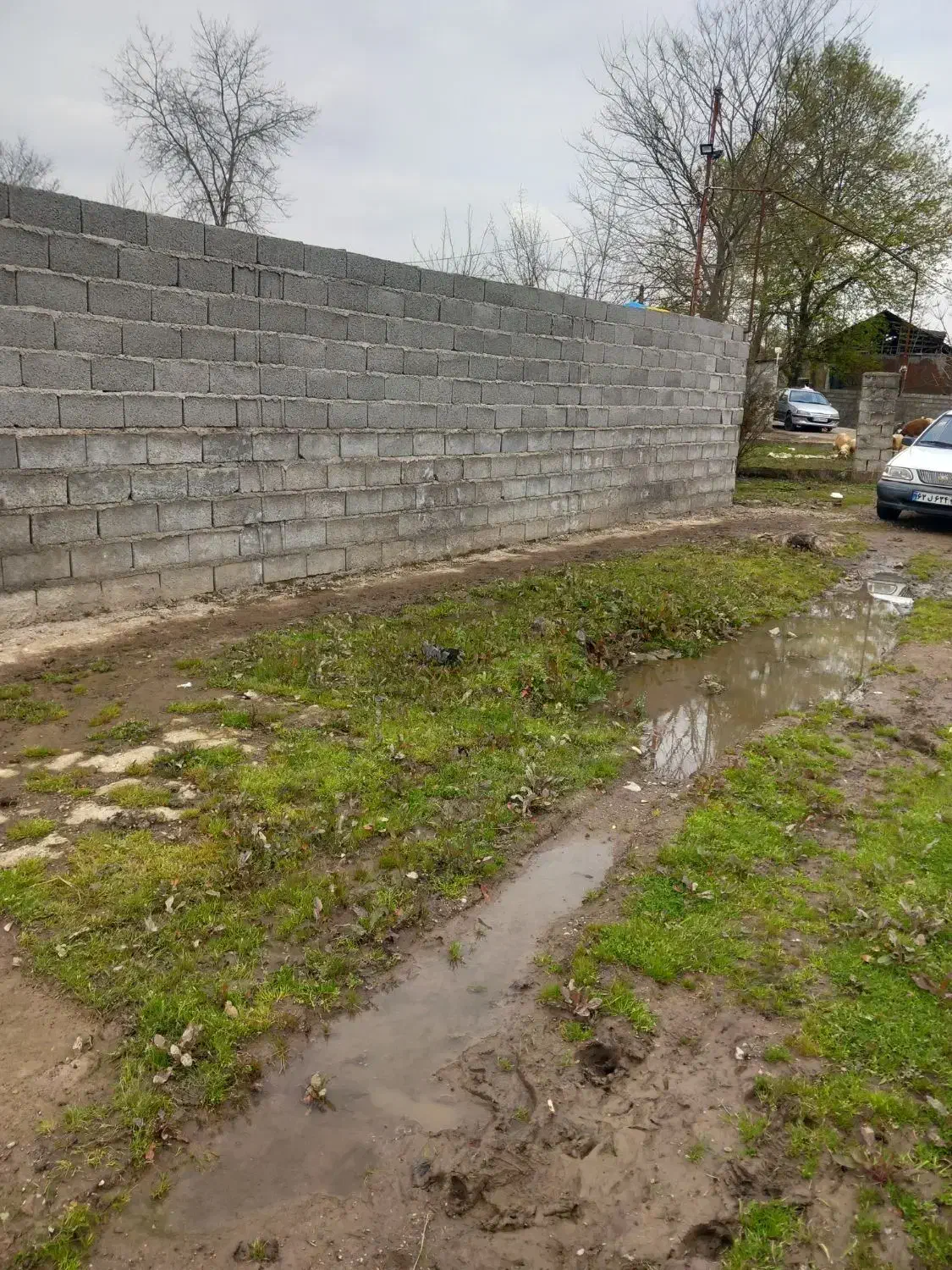 تصویر املاک 40738
