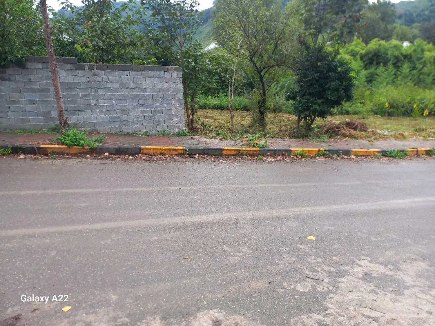 تصویر املاک 55953